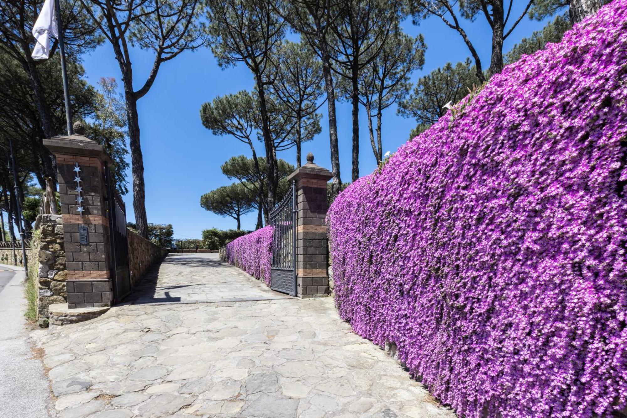 Oasi Olimpia Relais Hotel SantʼAgata sui Due Golfi Kültér fotó